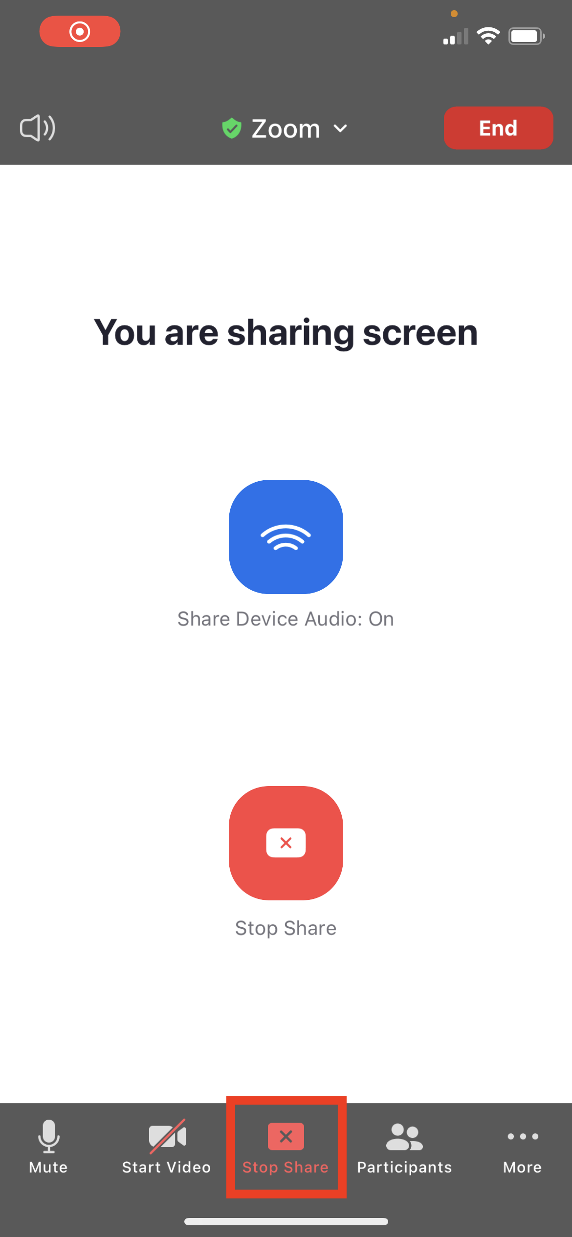 Zoom_iOS_Stop Share toolbar icon.png